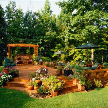 Decking planting ideas