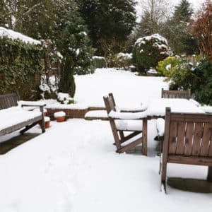 Prepare your garden for the winter