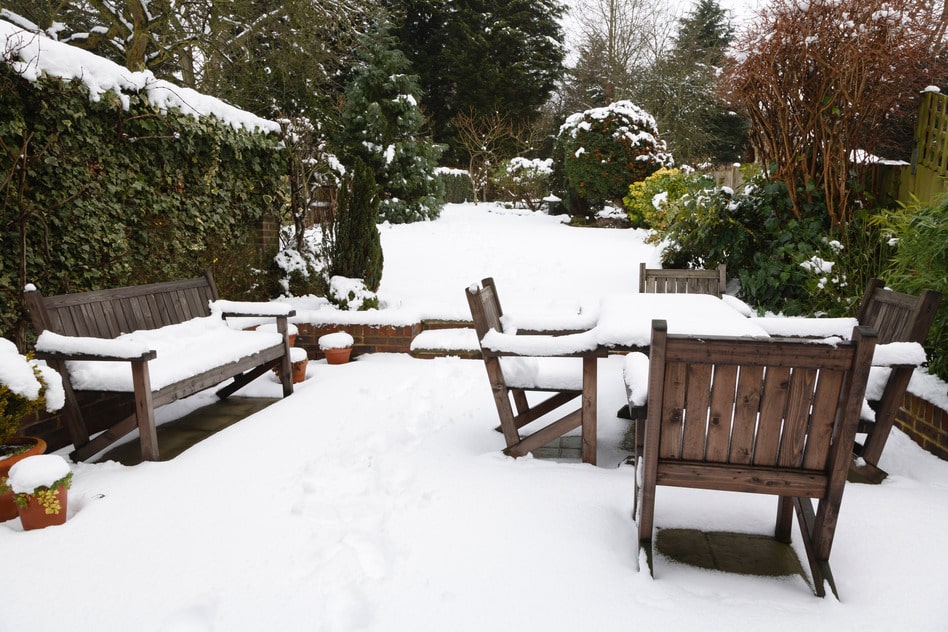 Prepare your garden for the winter