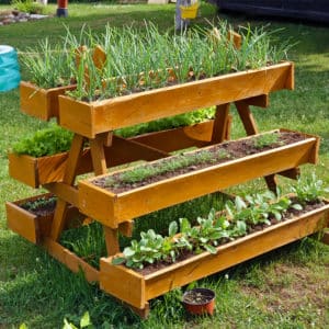 Raised garden beds