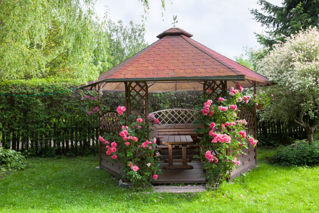 Outdoor wooden gazebo with roses and summer landscape background