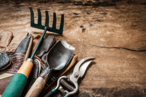 garden tools on table