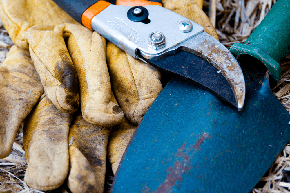 garden tools with rust